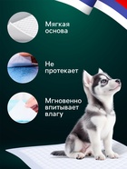 Впитывающие пелёнки для животных «ПИЖОН», 60×90 см, набор 30 шт., целлюлоза - Фото 3