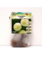 Георгина Помпонная «Сноуфлейк», клубнелуковица в упаковке, р-р см, I, 1 шт. - Фото 5