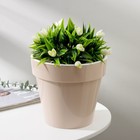 Кашпо для цветов со вставкой «Порто», 3.5 л, цвет жемчужный - Фото 1