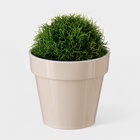 Кашпо для цветов со вставкой «Порто», 1 л, цвет жемчужный - Фото 6