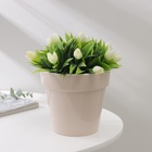 Кашпо для цветов со вставкой «Порто», 1 л, цвет жемчужный - Фото 7