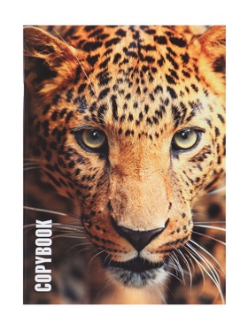 Тетрадь А4, 96 листов в клетку «Ягуар», серые листы (комплект 3 шт)