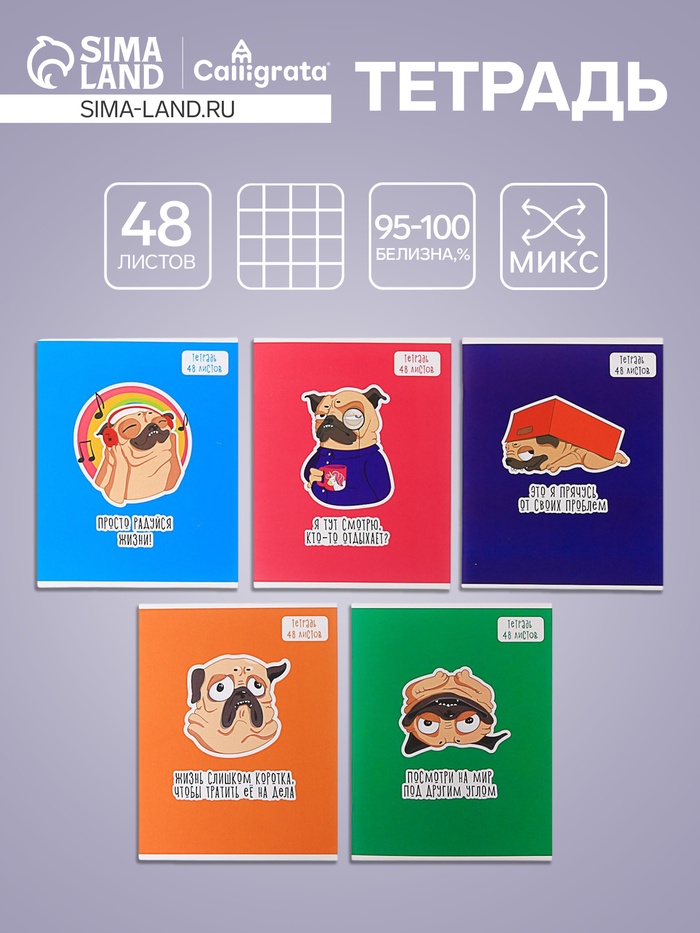 Тетрадь 48 листов в клетку, Calligrata «Мопс», МИКС - Фото 1