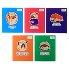 Тетрадь 48 листов в клетку, Calligrata «Мопс», МИКС - Фото 4