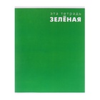 Тетрадь 48 листов в клетку, Calligrata «Это Тетрадь», МИКС - Фото 11
