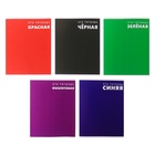 Тетрадь 48 листов в клетку, Calligrata «Это Тетрадь», МИКС - Фото 4