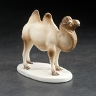 Сувенир «Верблюд», 13×11 см, ручная работа, фарфор - фото 8813197