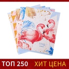 Тетрадь 48 листов в клетку Calligrata «Фламинго», обложка мелованный картон, УФ-лак, блок офсет, МИКС 4167933 - фото 13892363