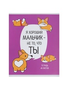 Тетрадь 48 листов в клетку, Calligrata «Лапки», МИКС - Фото 6