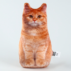 Игрушка-антистресс «Рыжий кот», 19×28 см - Фото 2