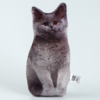 Игрушка-антистресс «Серый кот», 19×28 см - Фото 2