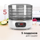 Сушилка для овощей и фруктов Redmond RFD-0158, 250 Вт, 5 ярусов, белая - Фото 2