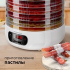 Сушилка для овощей и фруктов Redmond RFD-0158, 250 Вт, 5 ярусов, белая - Фото 4