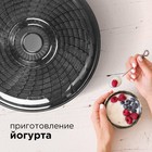 Сушилка для овощей и фруктов Redmond RFD-0158, 250 Вт, 5 ярусов, белая - Фото 6