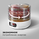 Сушилка для овощей и фруктов Redmond RFD-0158, 250 Вт, 5 ярусов, белая - Фото 7