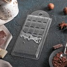 Форма для шоколада и конфет пластиковая «Шоколад горячий», 7×15×1 см, цвет прозрачный - Фото 3