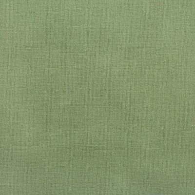 Постельное бельё "Этель" евро Кактус 200х217 см, 240*220 см, 50х70+3 см - 2 шт