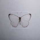 Подарочная коробка круглая «Бабочки», 15 × 15 см - Фото 3