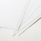 Картон белый, А4, 8 листов, мелованный, двусторонний, в папке, 230, г/м², Смешарики - Фото 4
