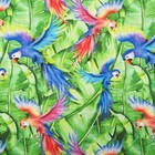 Матрас на шезлонг «Этель» Попугай, 55×190+2 см, репс с пропиткой ВМГО, 100% хлопок - Фото 2