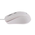 Мышь Smartbuy ONE 352, проводная, оптическая, 1600 dpi, USB, белая - фото 51436884 Мышь Smartbuy ONE 352, проводная, оптическая, 1600 dpi, USB, белая - фото 51436884