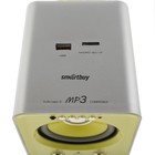 Компьютерные колонки 2.1 Smartbuy BUZZ SBA-2610, 2х1 Вт+3 Вт, MP3, FM, ПДУ, USB,сереб-желтые - фото 51296191 Компьютерные колонки 2.1 Smartbuy BUZZ SBA-2610, 2х1 Вт+3 Вт, MP3, FM, ПДУ, USB,сереб-желтые - фото 51296191
