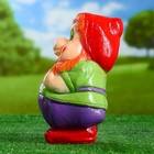 Садовая фигура "Гном пират" 23х12см - Фото 2