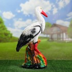 Садовая фигура "Аист" средний 45х35см - Фото 2
