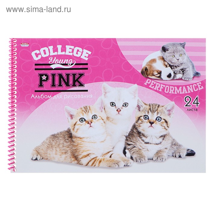 Альбом для рисования А4, 24 листа на гребне «Очаровательные котята», обложка мелованный картон, блок 100 г/м2 - Фото 1