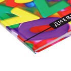 Дневник школьный для 1-4 классов, «Цифры», твёрдая обложка 7БЦ, глянцевая ламинация, 48 листов - Фото 3