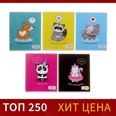 Тетрадь 36 листов в клетку, Calligrata «У меня лапки», МИКС