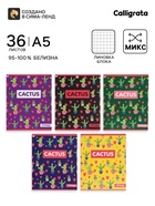Тетрадь 36 листов в клетку Calligrata «Кактус», МИКС - Фото 1