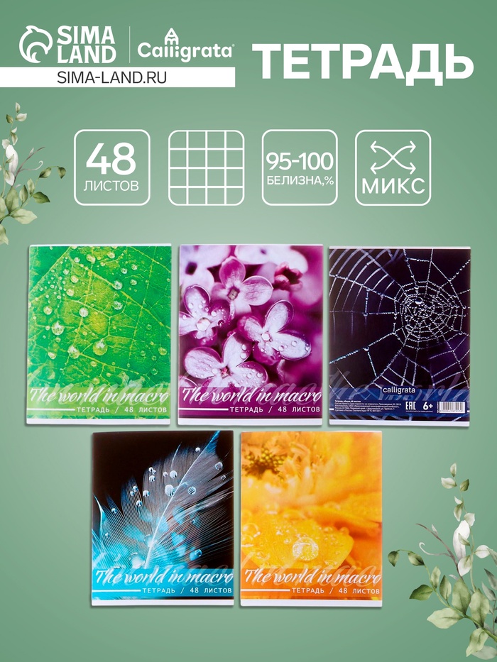 Тетрадь 48 листов в клетку, Calligrata «Микромир», МИКС - Фото 1