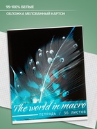 Тетрадь 48 листов в клетку, Calligrata «Микромир», МИКС - Фото 2