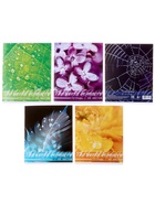 Тетрадь 48 листов в клетку, Calligrata «Микромир», МИКС - Фото 3