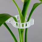 Клипса садовая, d=25 мм, набор 50 шт., Greengo - Фото 6