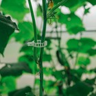 Клипса садовая, d=25 мм, набор 50 шт., Greengo - Фото 5