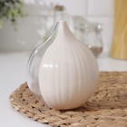 Контейнер для лука Альтернатива, 12×10×4.8 см, пластик, крышка МИКС - Фото 8