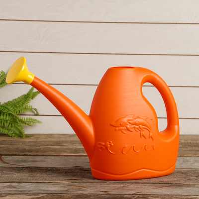 Лейка, 3 л, с рассеивателем, цвет МИКС, «Дельфин»