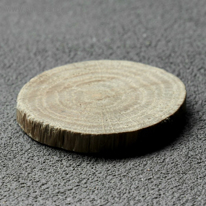 Спил дерева "Дубовый", круглый, d=3-4 см, h=5 мм - Фото 1