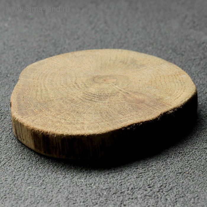 Спил дерева "Дубовый премиум", круглый, d=5-7 см, h=10 мм - Фото 1