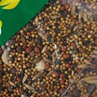 Смесь сидератов после уборки лука, 0.5 кг - Фото 3