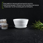 Горшок для цветов с поддоном «Алиса», 700 мл, d=15 см, h=8 см, пластиковый, белый - Фото 3