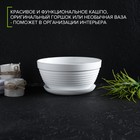 Горшок для цветов с подставкой «Алиса», 1.5 л, d=20 см, h=10 см, пластиковый, белый - Фото 3
