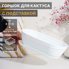 Горшок для кактуса с подставкой «Алиса», 0,9 л, цвет белый - фото 20646752