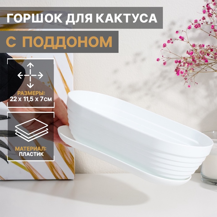 Горшок для кактуса с поддоном «Алиса», 900 мл, пластиковый, белый - Фото 1