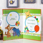 Обложка для документов набор "Мои первые документы", Медвежонок Винни (новый формат свидетельства) - Фото 2
