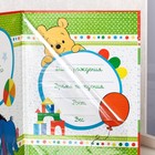 Обложка для документов набор "Мои первые документы", Медвежонок Винни (новый формат свидетельства) - Фото 4