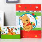 Обложка для документов набор "Мои первые документы", Медвежонок Винни (новый формат свидетельства) - Фото 6