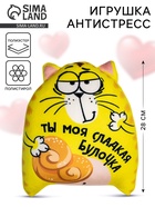 Игрушка-антистресс «Ты моя сладкая булочка», кот, 20×30 см - Фото 1